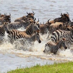 4 DAYS SAFARI