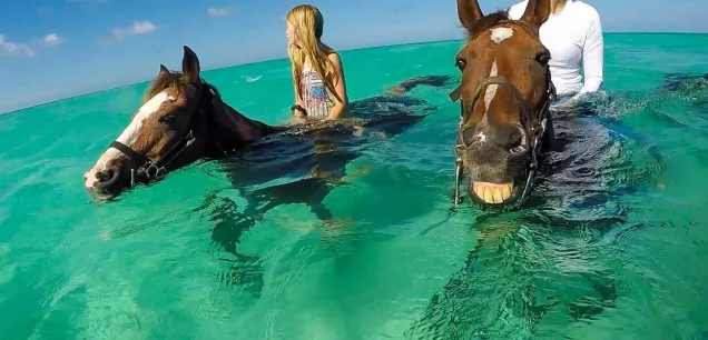 Horse riding Zanzibar (70$per horse)
