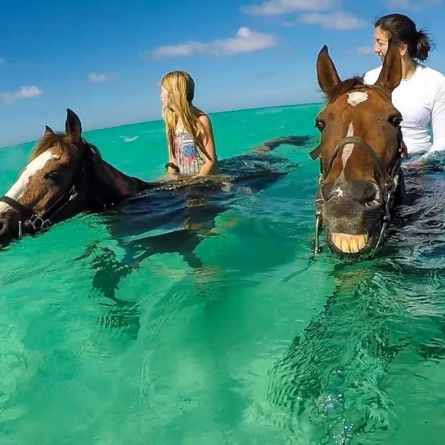 Horse riding Zanzibar (70$per horse)
