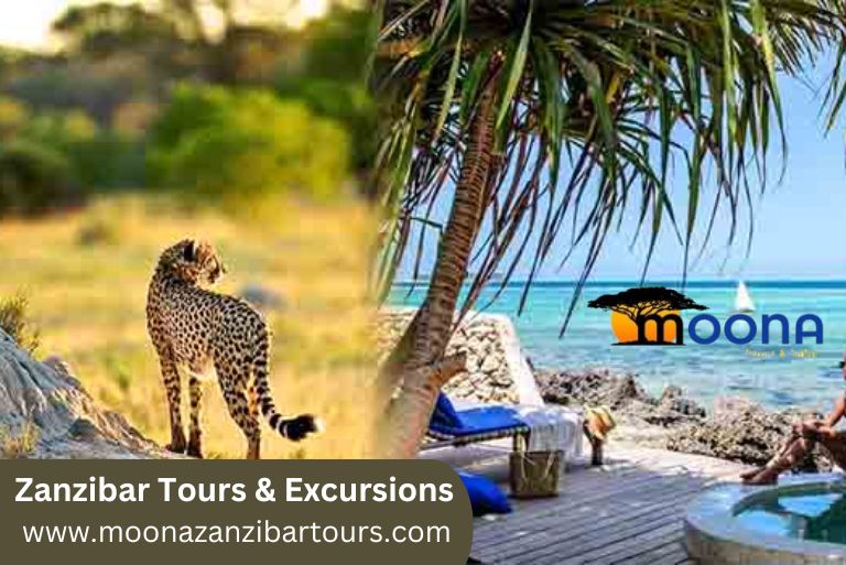 Zanzibar tours & Excursions