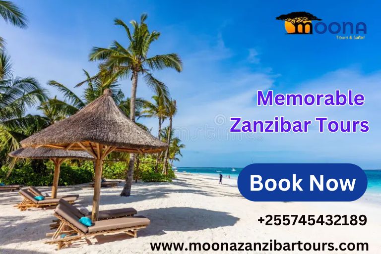 Zanzibar Tours