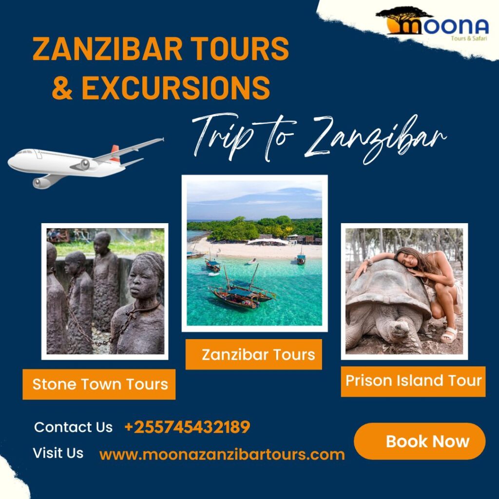 Zanzibar Tours & Excursions